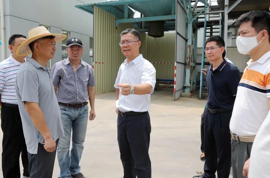 綠潤新聞 | 金灣區(qū)委書記帶隊考察，三灶項目再獲認可